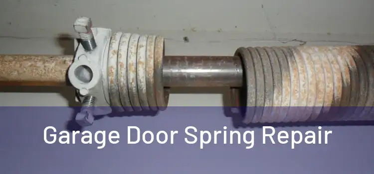  Garage Door Spring Repair 